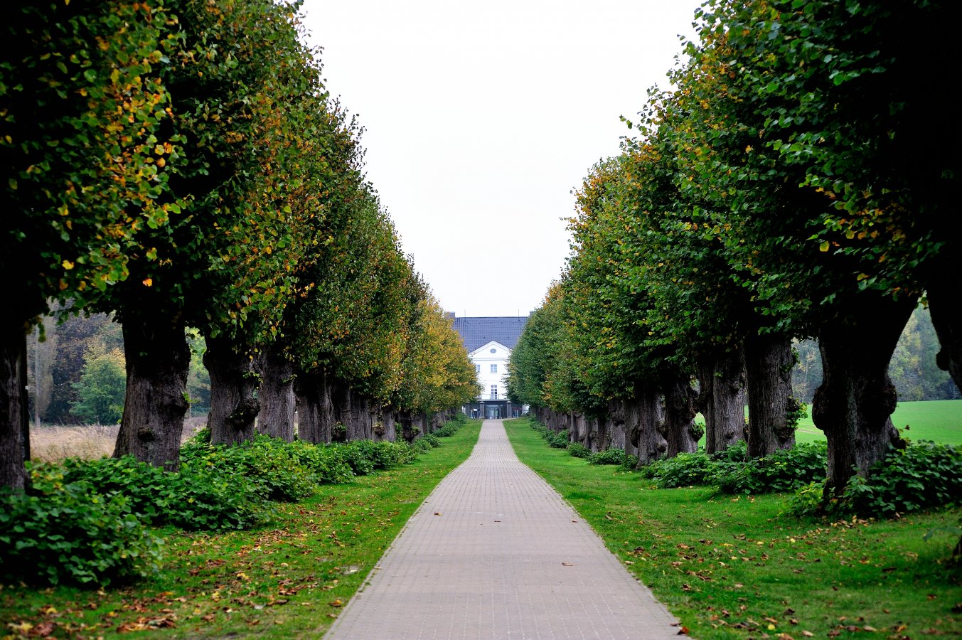 Lindenallee-Herbst.JPG