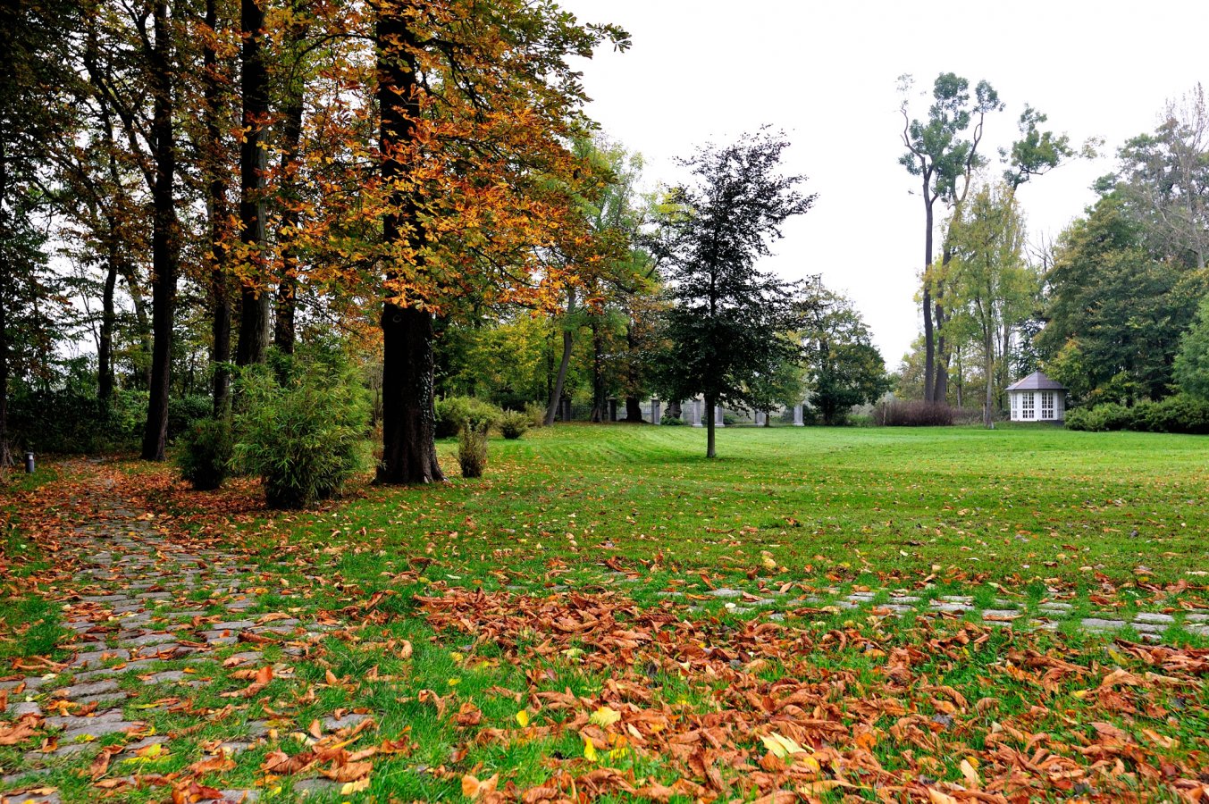 herbst1.jpg
